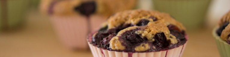 LOW CARB PALEO KETO BLUEBERRY MUFFINS RECIPE WITH ALMOND FLOUR