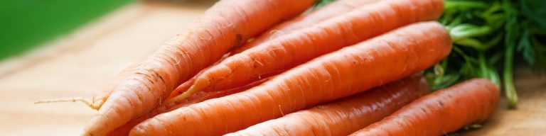 Crescent Roll Carrots Filled with Egg or Ham Salad
