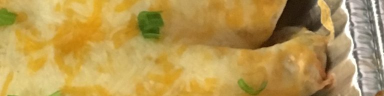 Chicken Enchiladas V