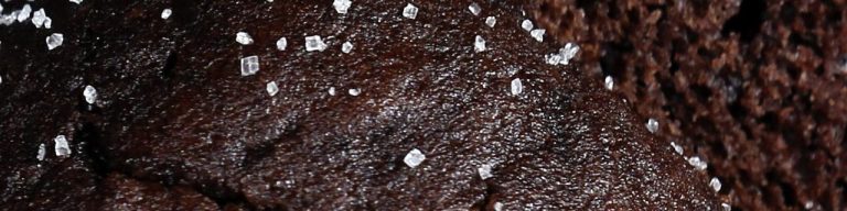 Chocolate cake with fudge icing