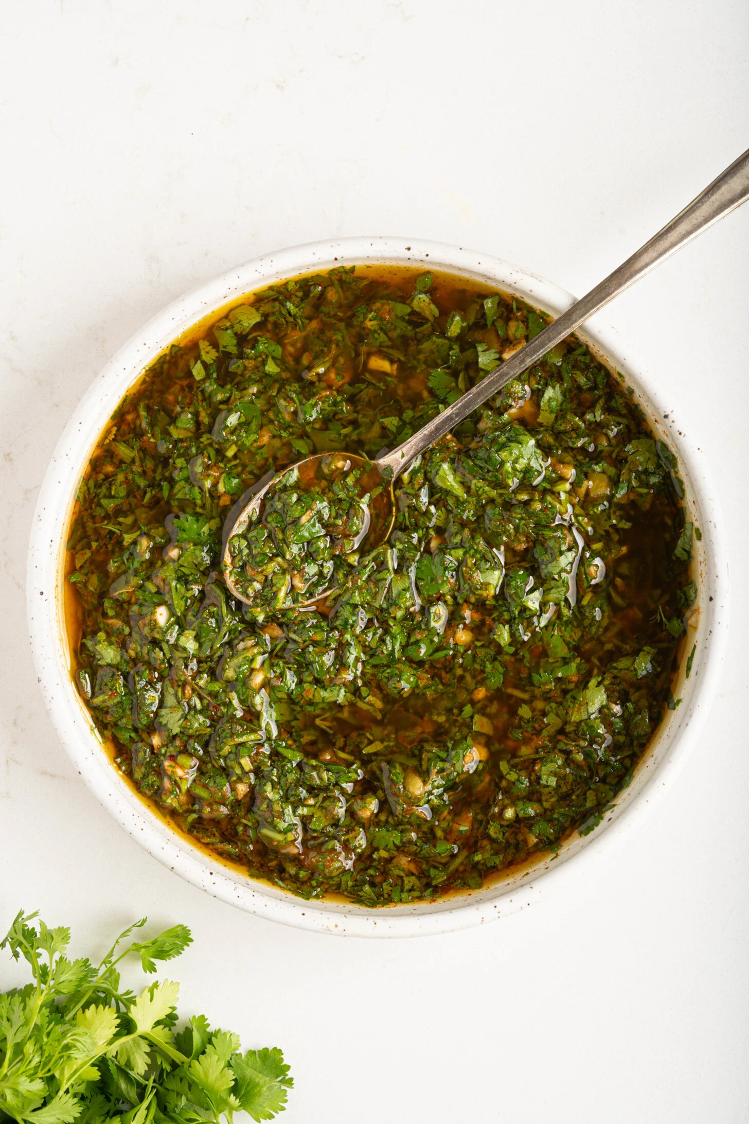 10 Minute Moroccan-Style Chermoula Sauce