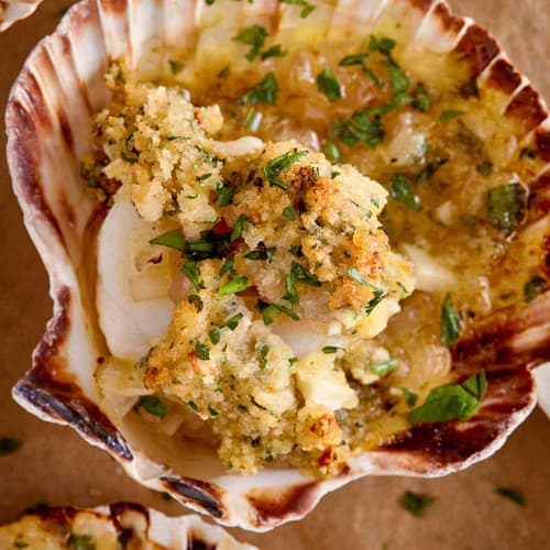 Scallops