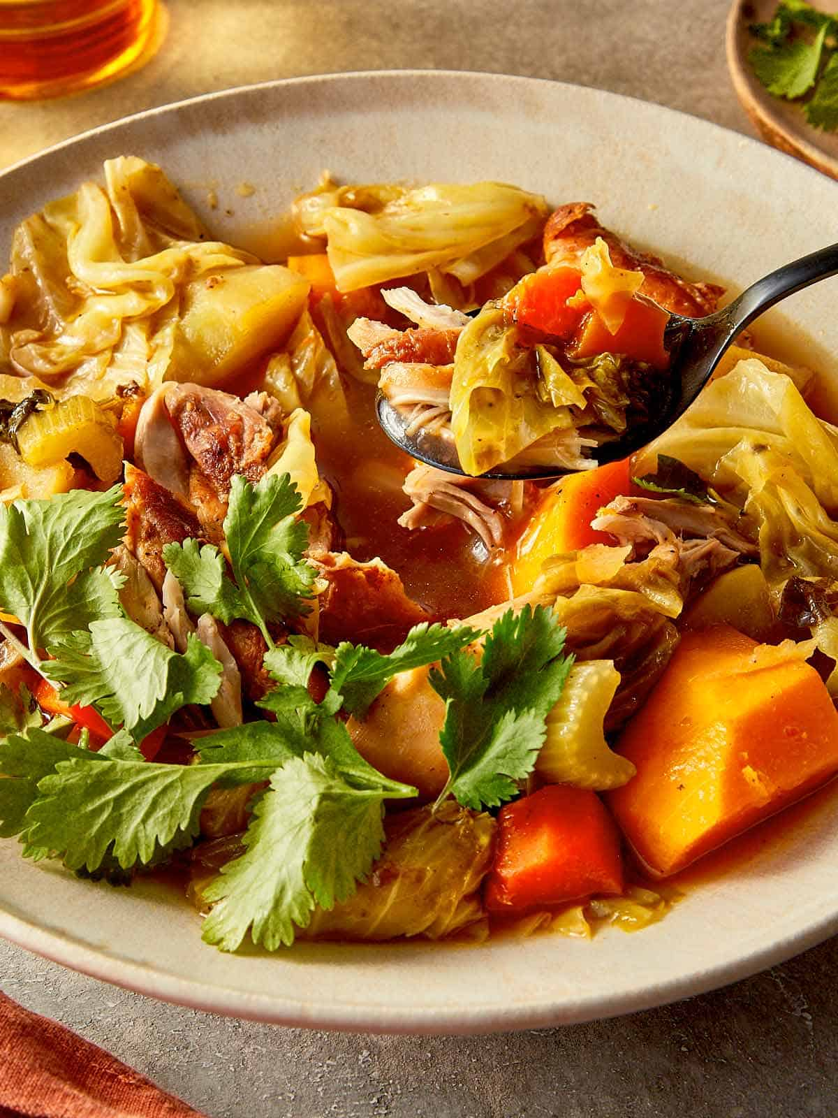 Cabbage Chicken Soup